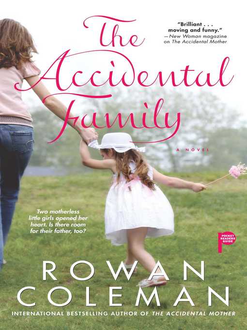 Cover image for The Accidental Family